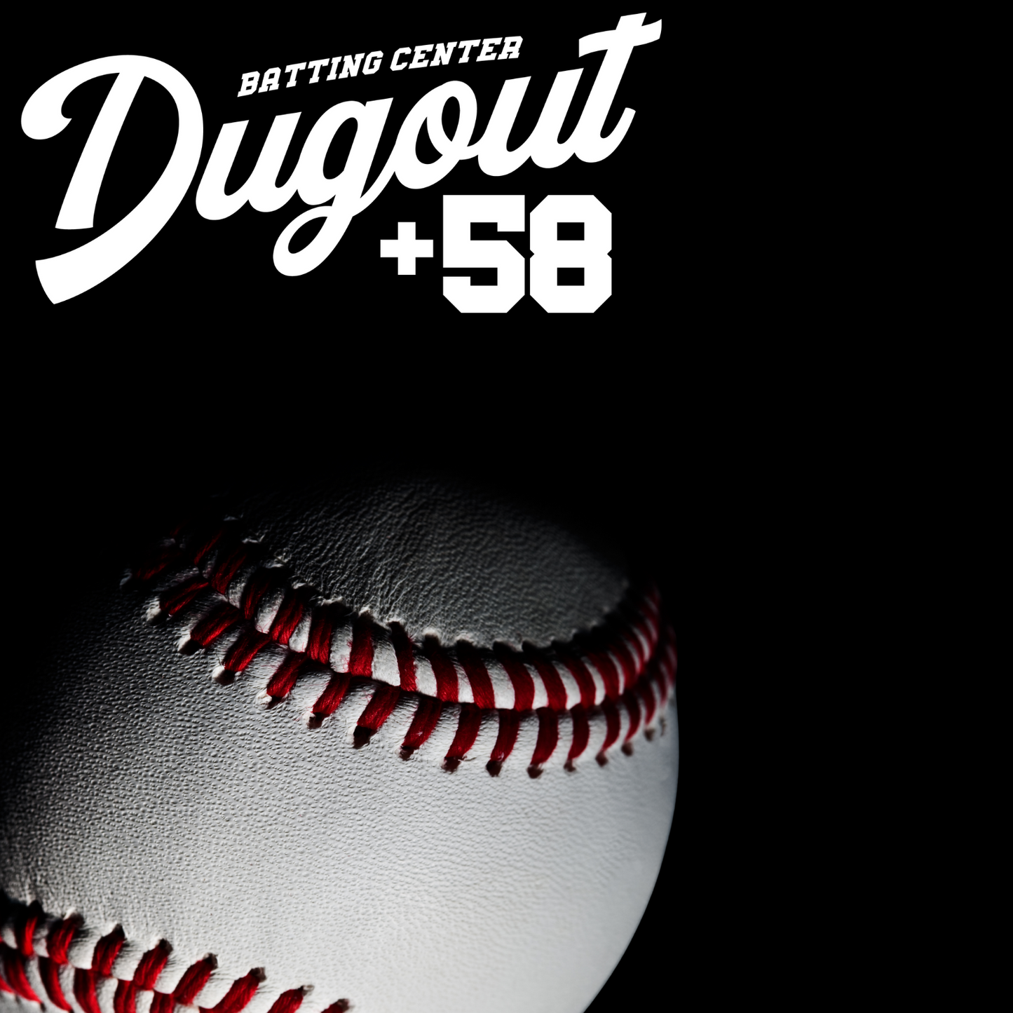 Baseballkäfig - Blau